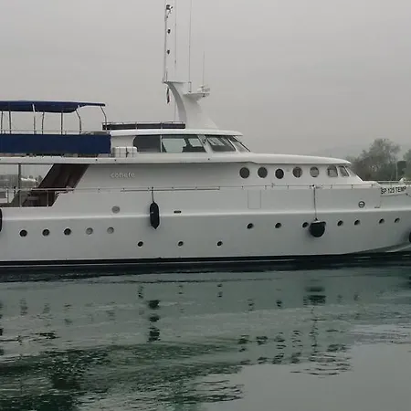 Cohete Boat Ameglia